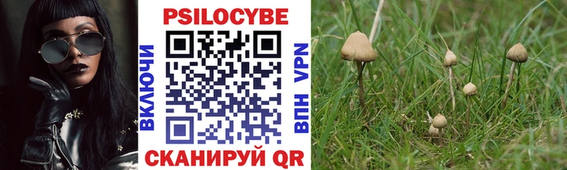Галлюциногенные грибы Magic Shrooms  Купить закладки  Мензелинск 