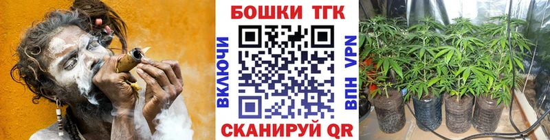 Канабис White Widow  Купить закладки  Мензелинск 